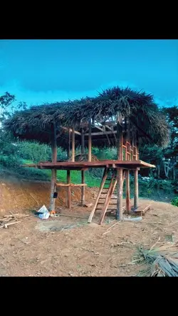 Province Life 