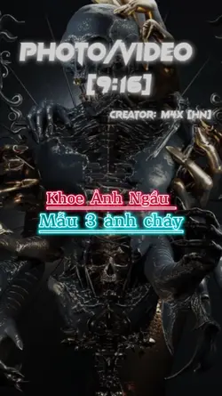 Show ảnh chiến