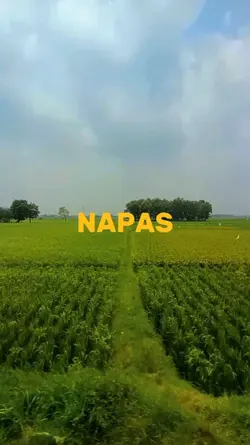 1 VIDEO