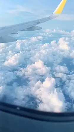 uses prank flight 