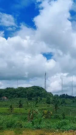 5 VIDEO + 6 FOTO