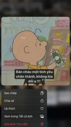 share cho mn