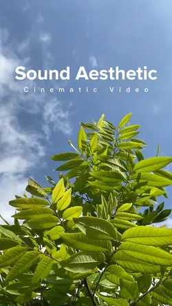 Cinematic Aesthetic