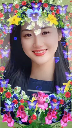 mẫu 4 ảnh 