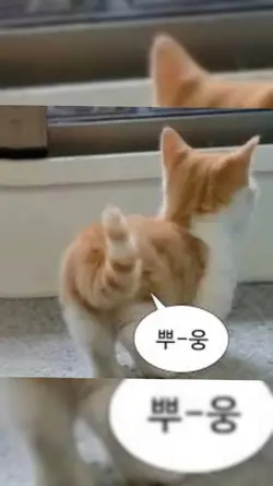 밍밍밍