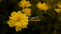 Sholawat  Penenang