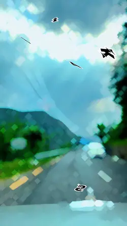Kesariya//baglung 