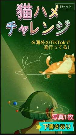 猫ハメチャレンジ