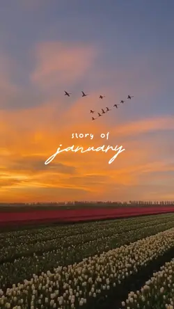 Story of January