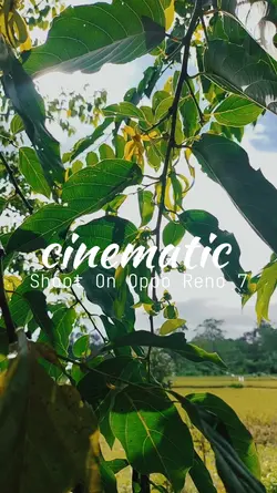 shoot on oppo reno 7