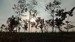 video cepet 2x