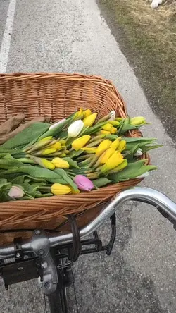 Minivlog bertamasya