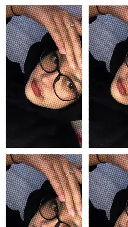 grid webcam