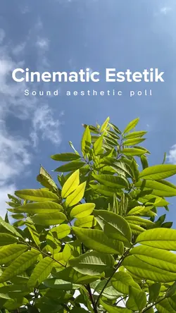 Sound Estetik