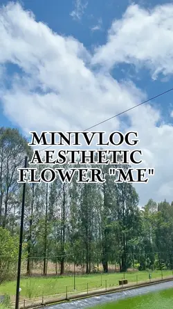 Minivlog