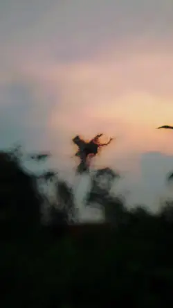 Cinematic Ramadhan