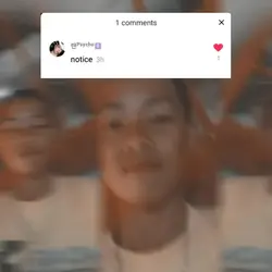 notice daw