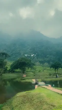 kehilangan slowed