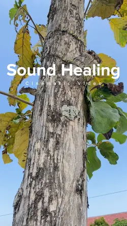Cinematic Healing
