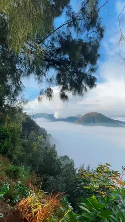 mentahan