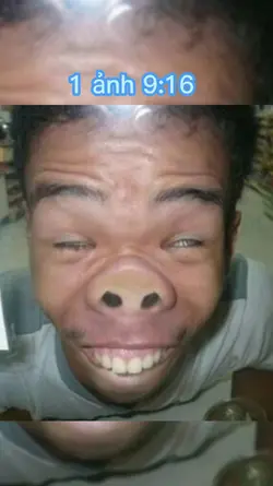 Heo tiến hoá Troll