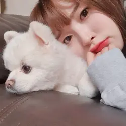 사랑인가봐