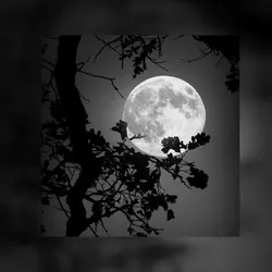 Lazy song-Bruno mars