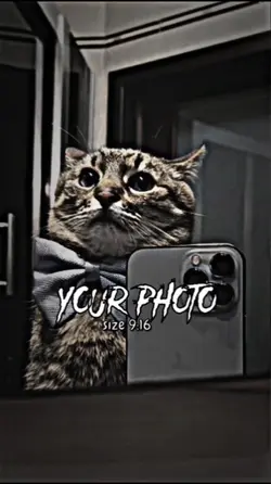 1 Video X 5 Foto