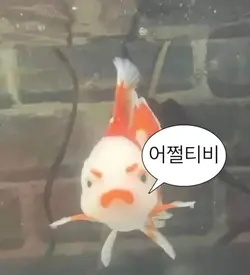 첫사랑