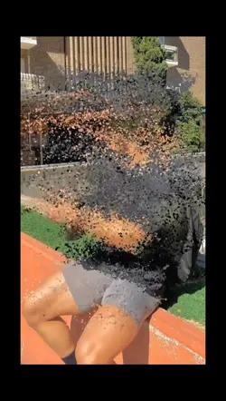 PARTICLES DISSOLVE 