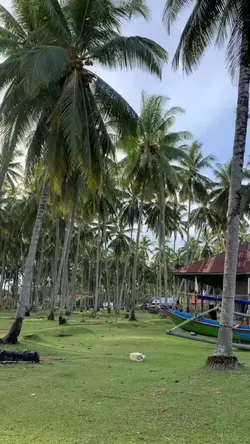 Taragak pulang