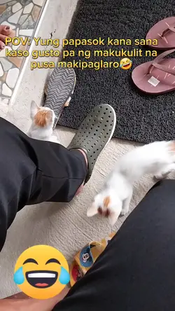 Animal lover