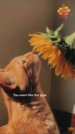 i like you but.... 