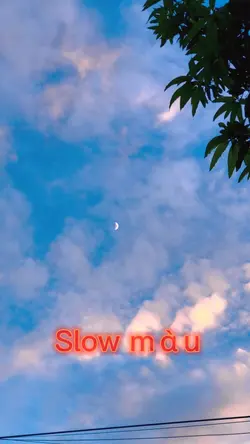 Slow + màu chill