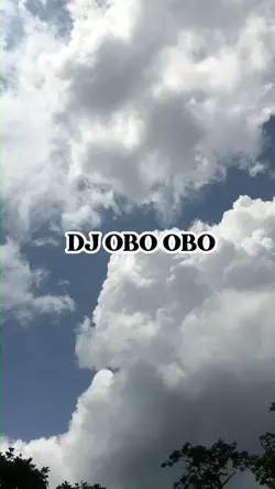 Dj obo obo viral