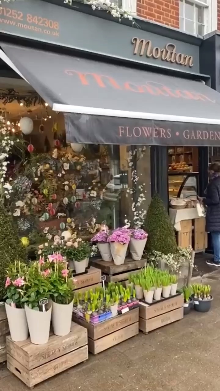 Mini Vlog Aesthetic Contoh Video Template Capcut