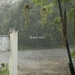 Rainy days 