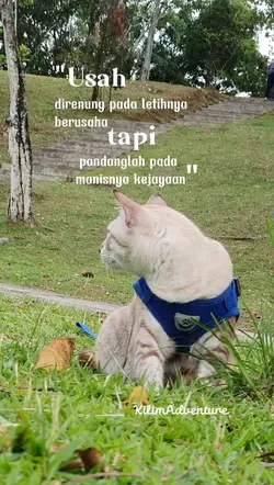 manisnya ujian