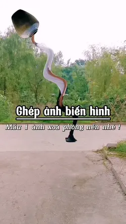 Ghép ảnh biến hình 