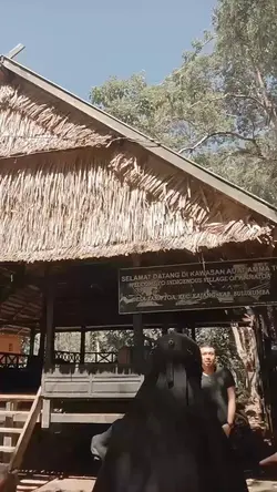 mini vlog