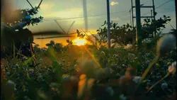 videography 