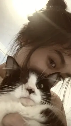 gemes kucingku