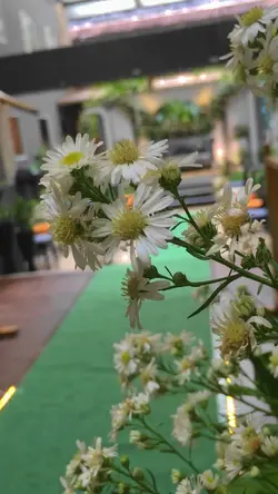 Wedding vlog estetik