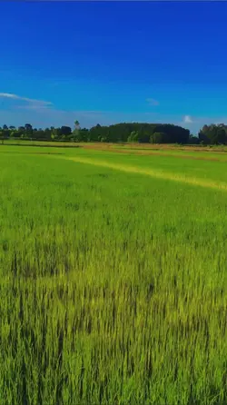 ธรรมชาติ