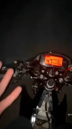 Mẫu Video