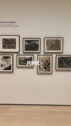 JUNE DUMP