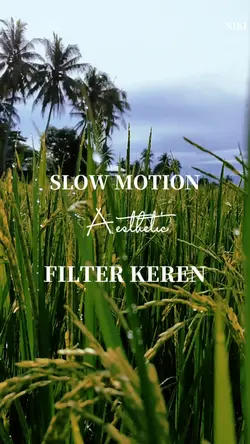 Slowmo Aesthetic