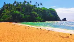 BEACH VIBES
