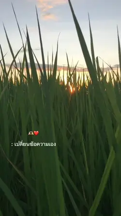 เห็นคลิปนี้กี่โมง