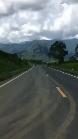 YT